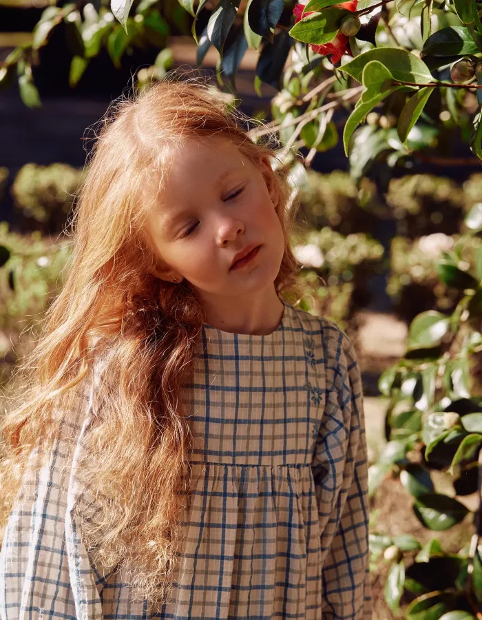 Cotton checked dress with puffy sleeves for girls, multicolour