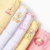Pack of 5 Briefs for Girls 'Tweety', Pink/White/Yellow
