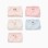 Pack of 5 cotton briefs with Jessie prints for girls, white/pink/blue
