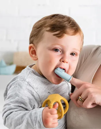 2 Toothbrushes With Case Nattou Blue