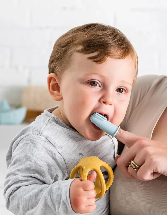 2 Toothbrushes With Case Nattou Blue