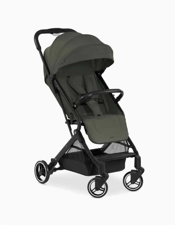 Hauck Travel N Care Stroller, Dark Olive