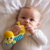 Squeak and Soothe Natural Teether