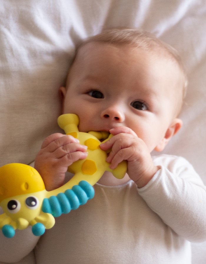 Squeak and Soothe Natural Teether