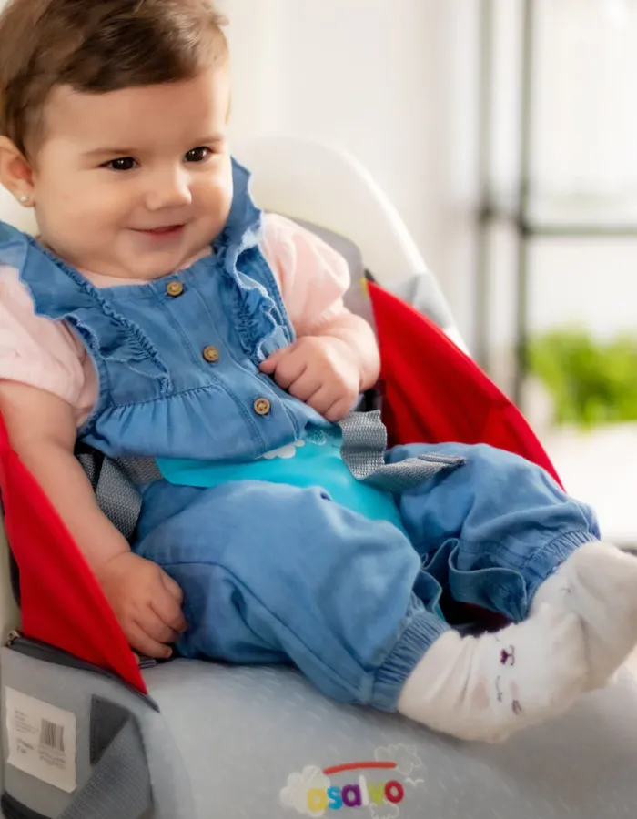 Zeppelin Travel High Chair