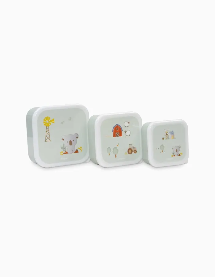 Pack of 3 Snack Boxes Koala Interbaby, Green