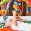 Clip Clop Musical Activity Gym