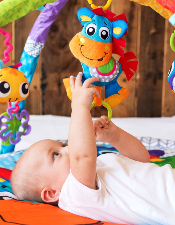 Clip Clop Musical Activity Gym