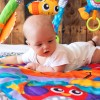 Clip Clop Musical Activity Gym