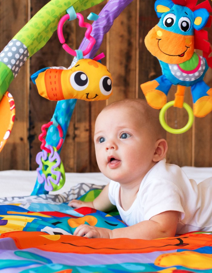 Clip Clop Musical Activity Gym