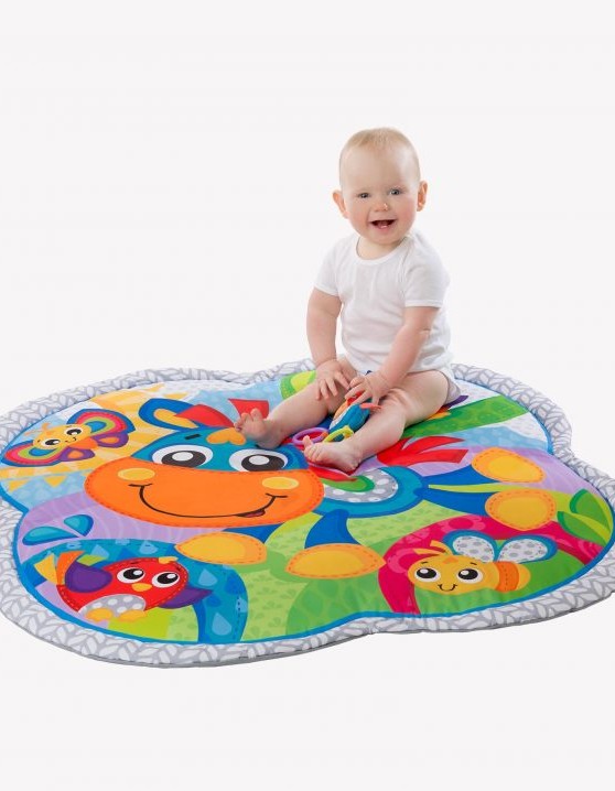 Clip Clop Musical Activity Gym
