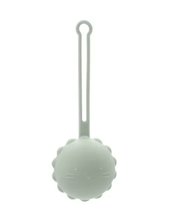 Mint Nattou Silicone Soother Box