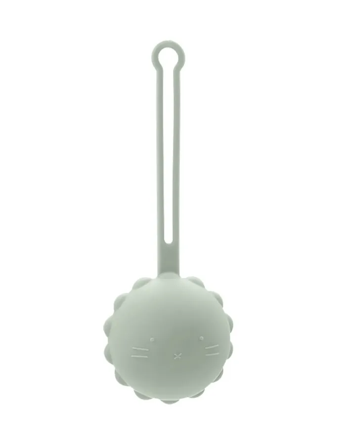 Mint Nattou Silicone Soother Box