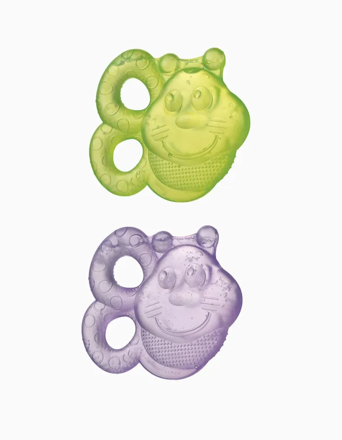 Bee Water Teether By Playgro, 2 Pieces