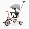 5-in-1 Tricycle Norby Interbaby 12M+, Pink