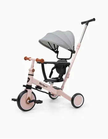 5-in-1 Tricycle Norby Interbaby 12M+, Pink