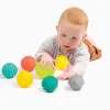 8-Pack Sensory Balls Ludi 6M+