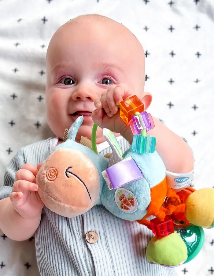 Roca Horse Clip Clop Playgro 3M+