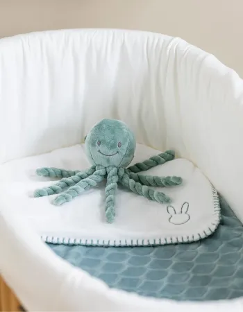 Octopus Lapidou Nattou 22 cm 0M+, Green