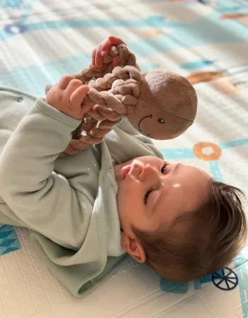 Polvo Lapidou 22 Cm Nattou 0M+, Moka