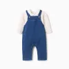 Striped bodysuit + jumpsuit for newborn girls, white/pink/blue