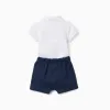 Polo-bodysuit with Mickey print + shorts for newborn boys, white/blue