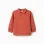 Cotton sweatshirt with polo collar and print for boys, orange