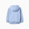 Half-zip cotton sweatshirt with hood for boys, light blue