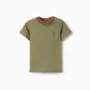 Cotton T-shirt with embroidered cactus for baby boys, dark green