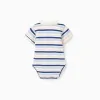 Polo-bodysuit with stripes for newborn boys, white/blue/orange