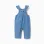 Denim jumpsuit with embroidered flowers for newborn girls, blue